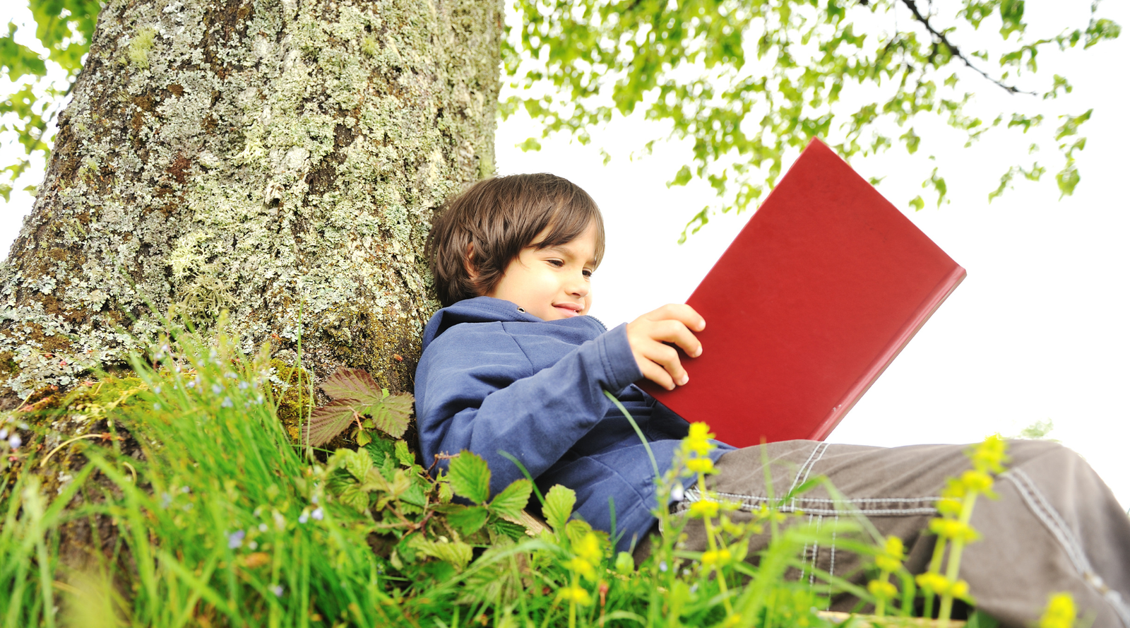 Young boy reading under a tree in nature, exploring gift ideas for nature loving kids