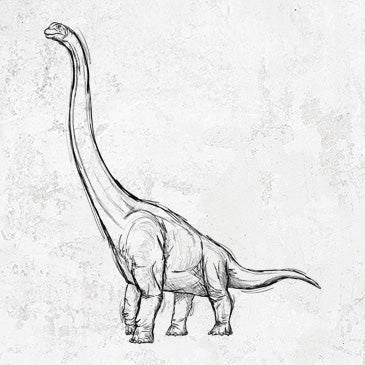 Apatosaurus drawing on shirts and gifts