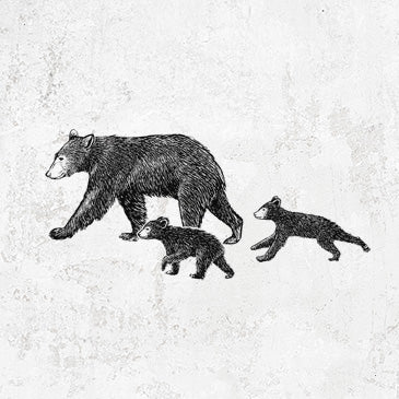 Mama Black Bear with Cubs