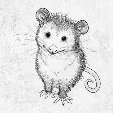 Hand-drawn illustration of a cute opossum, friendly marsupial t-shirt design