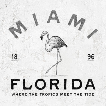 Miami Florida Flamingo