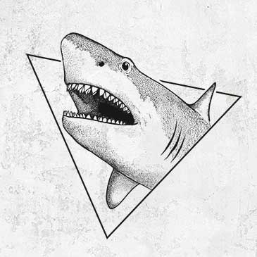 Great White Shark Triangle