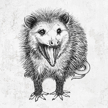 en-and-ink illustration of a hissing opossum baring its teeth, Didelphidae t-shirt design