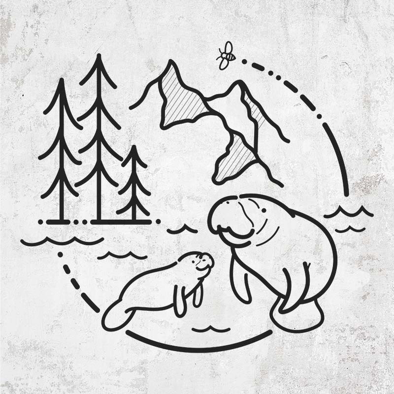It's All Connected - Manatee