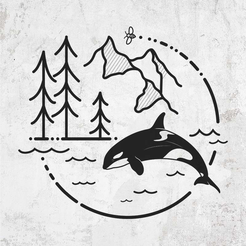 It's All Connected - Orca Whale