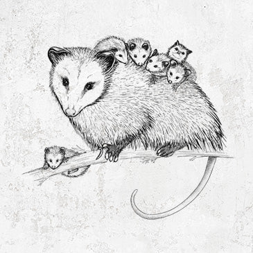 Hand-drawn illustration of a mother opossum carrying her babies on her back, t-shirt design