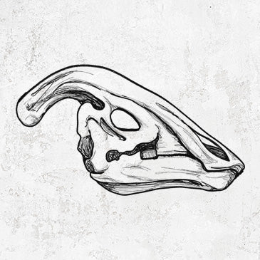 Parasaurolophus Skull drawing on shirts, hoodies and gifts