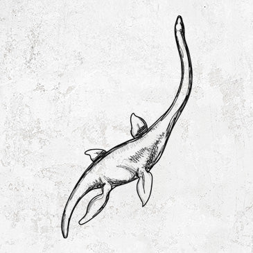 Plesiosaur drawing on clothing and gifts