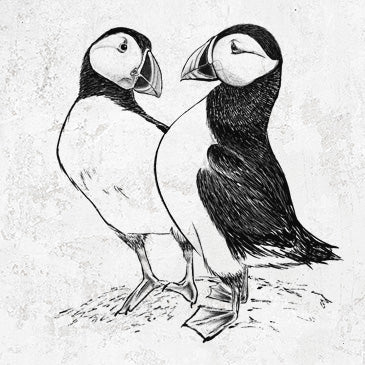 Pair of puffins drawing on puffin shirts and gifts