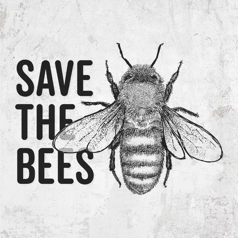 Save The Bees