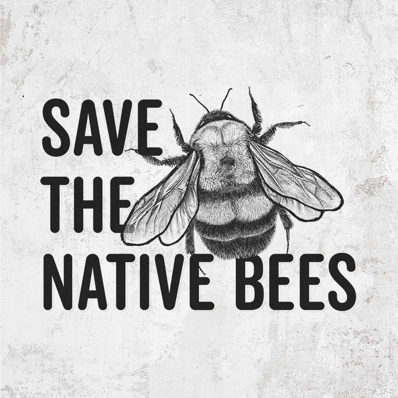 Save the Native Bees