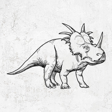 Styracosaurus illustration on merch and gifts