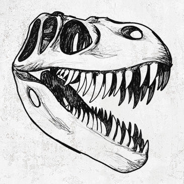 Tyrannosaurus Rex Skull drawing on clothing and gifts
