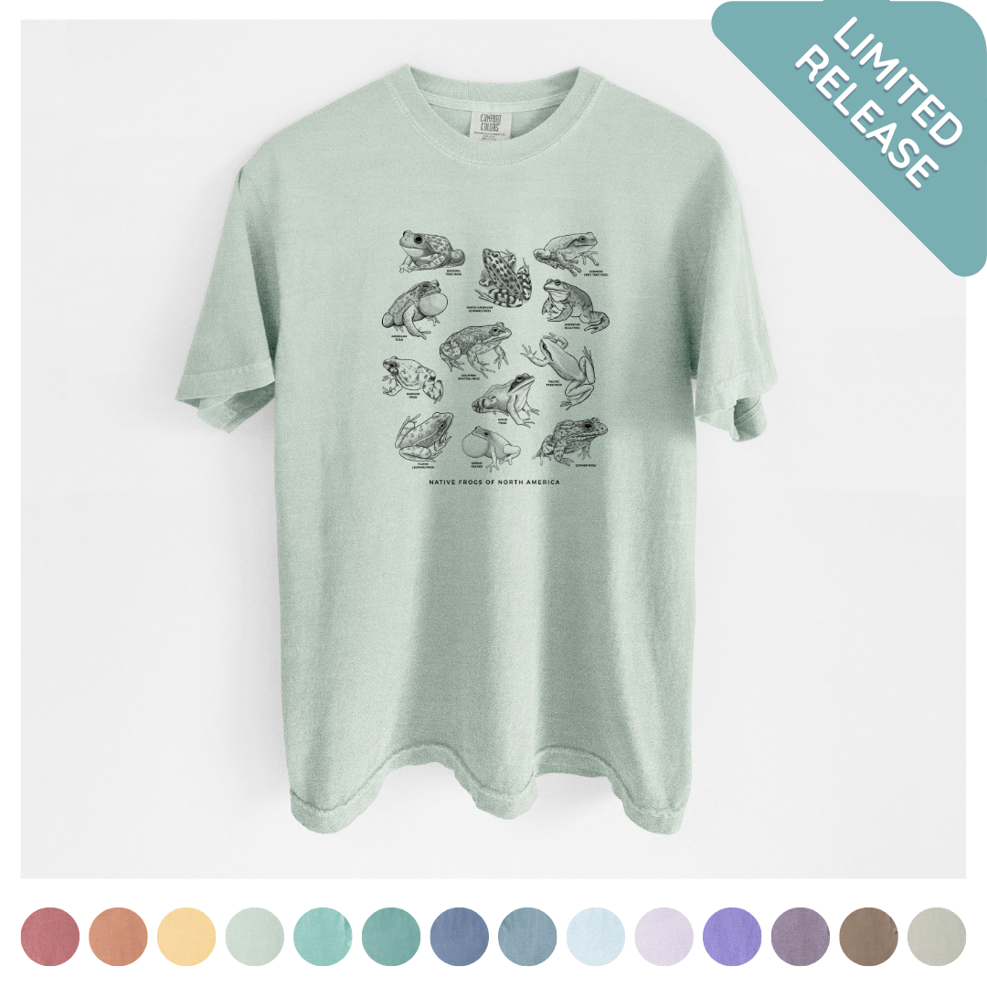 Unisex Comfort Colors Garment-Dyed Heavyweight T-shirt
