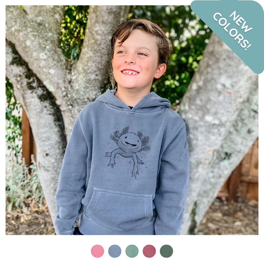 One-of-a-Kind Youth Pigment Dyed Pullover Hoodies - BeCause Tees' Collection that Plants Trees and Aids Environmental Non-Profits