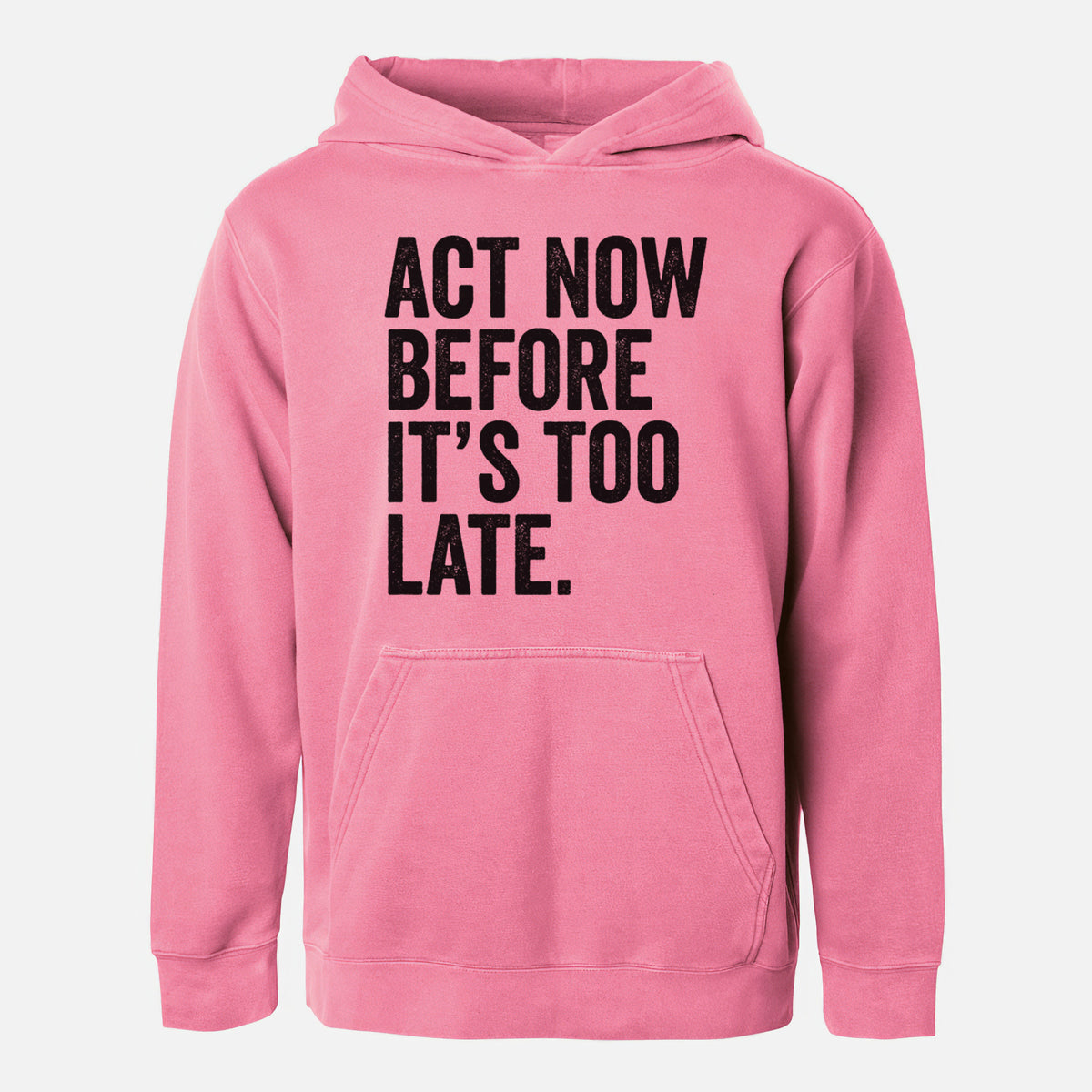 Pigment pink youth pigment dyed hoodie laid flat, printed with bold black words reading Act Now Before It's Too Late.