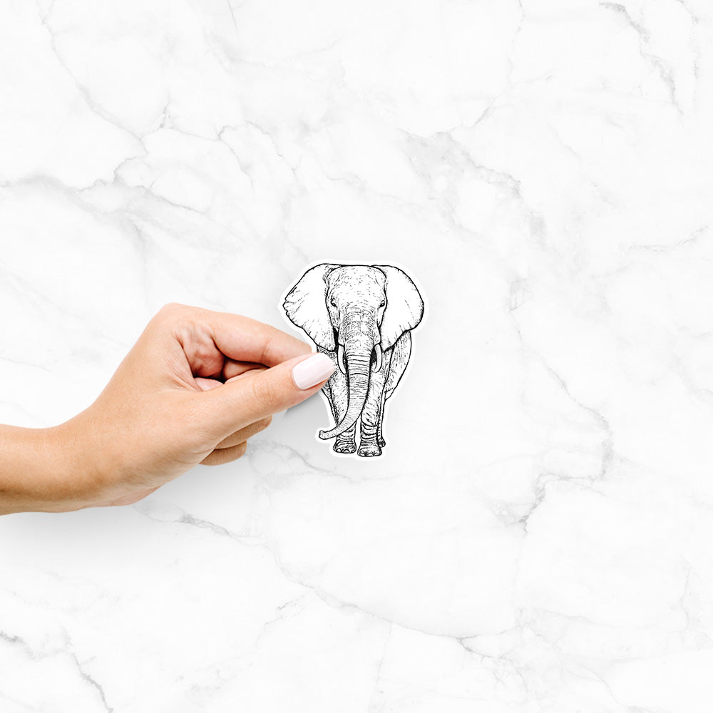 Hand holding a 4 inch vinyl decal of a black ink line drawing of an African elephant facing forward with large ears and tusks.