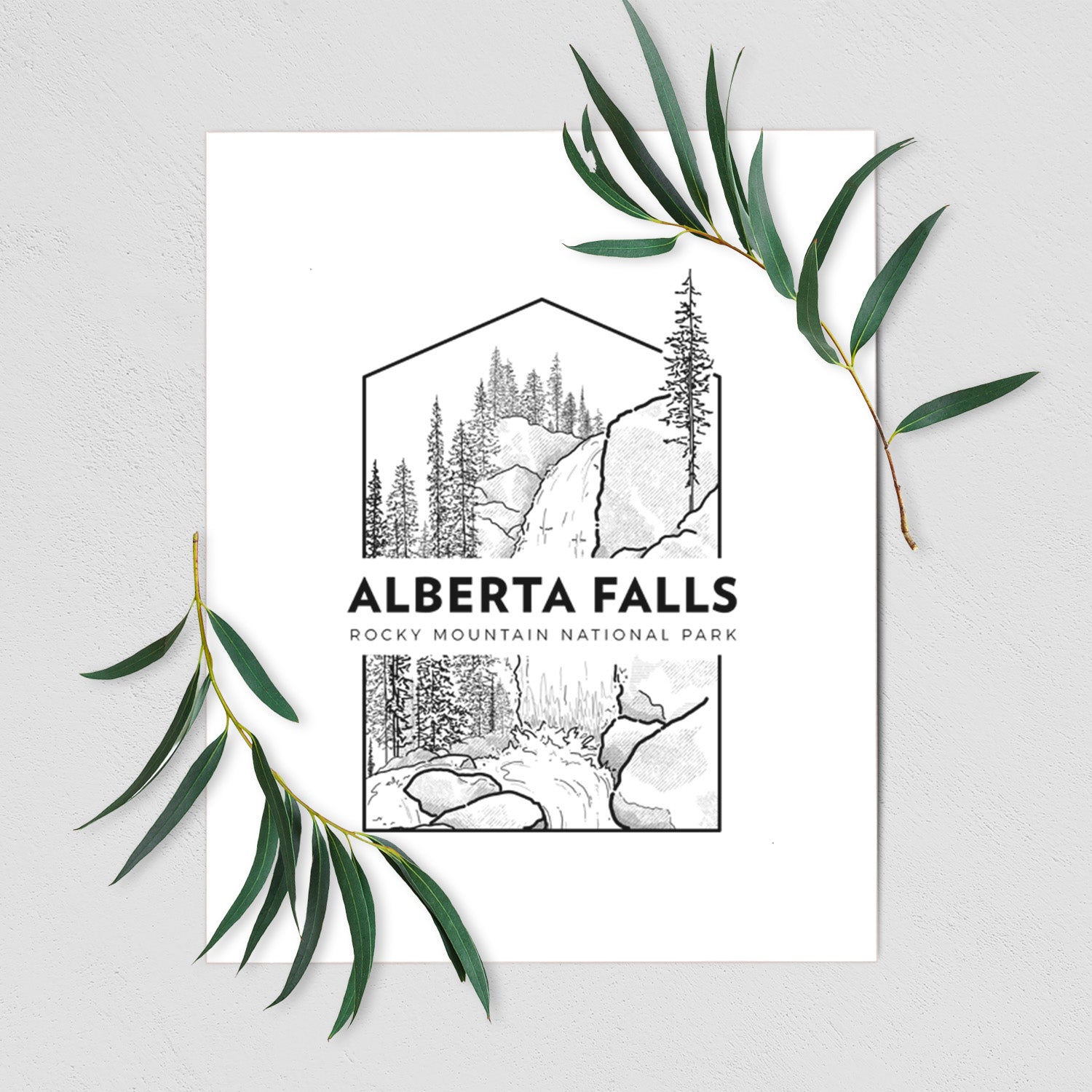 Art print of a black line art badge of Alberta Falls with pine trees, with the words Alberta Falls, Rocky Mountain National Park, shown with eucalyptus leaves.