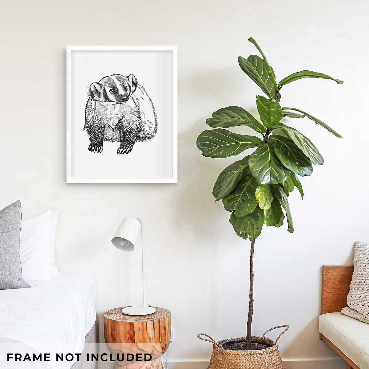 Art print of a detailed black ink illustration of an American badger facing forward, shown framed on a living room wall beside a potted plant. Frame not included.
