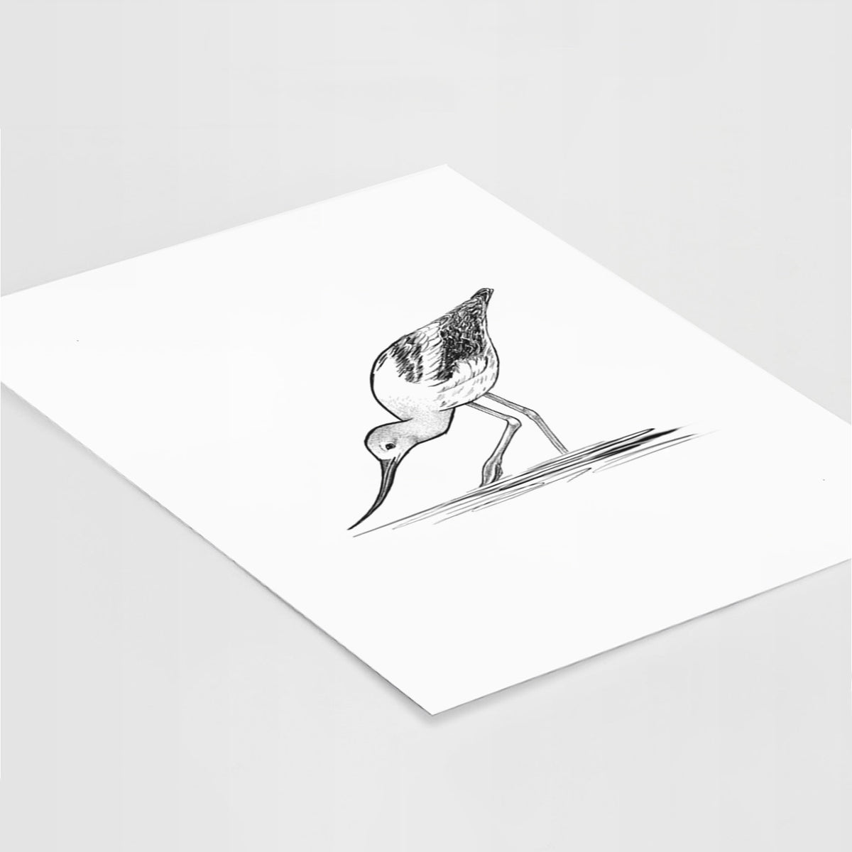 Art print of a detailed black ink sketch of an American avocet wading in shallow water, lying at an angle on a white surface.
