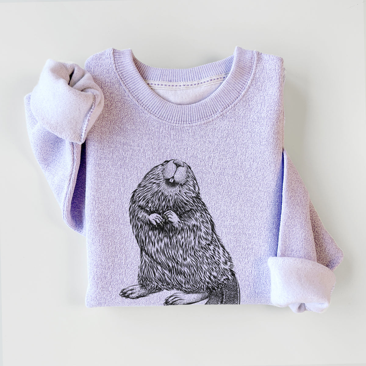 Ice purple knit sweatshirt printed with a detailed black ink illustration of an American beaver sitting upright with its flat tail, styled flat.