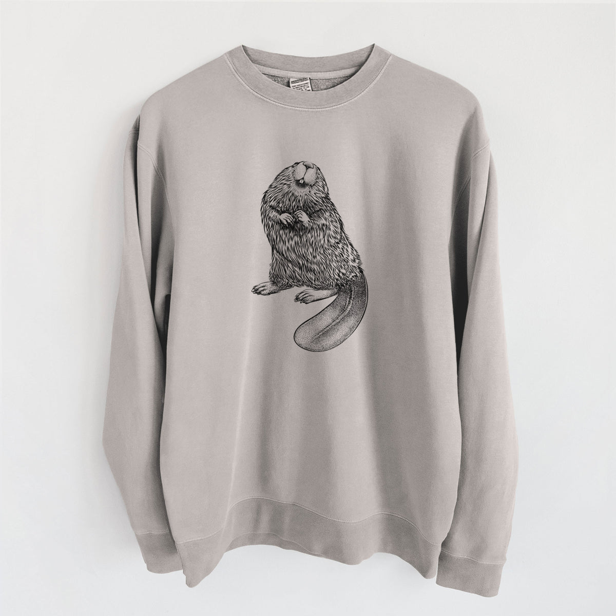 North American Beaver - Castor canadensis - Unisex Pigment Dyed Crew Sweatshirt in Cement