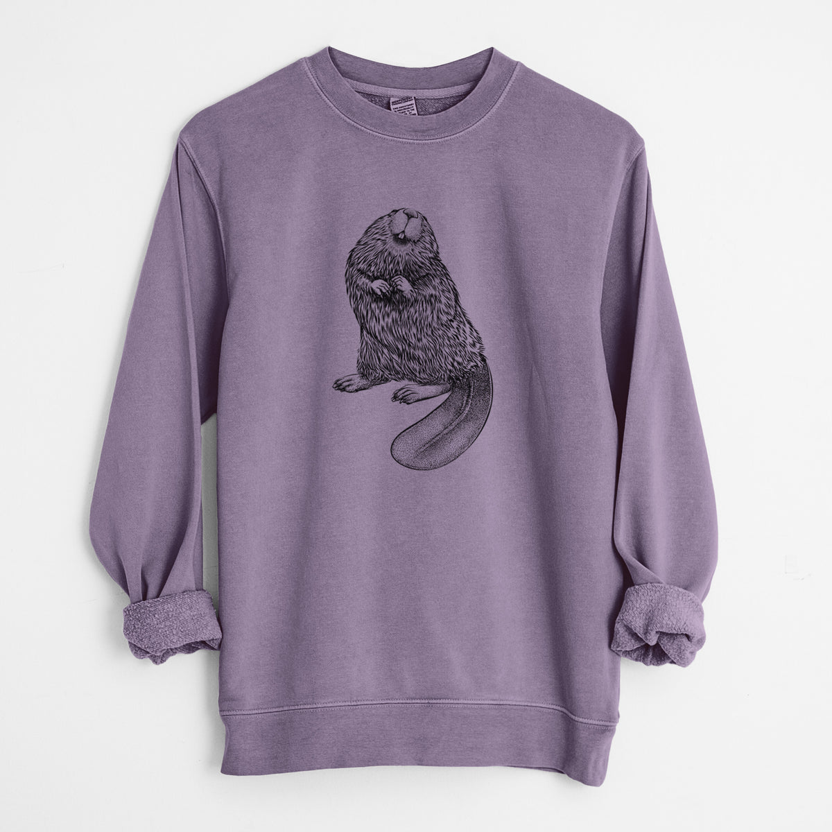 North American Beaver - Castor canadensis - Unisex Pigment Dyed Crew Sweatshirt in Plum