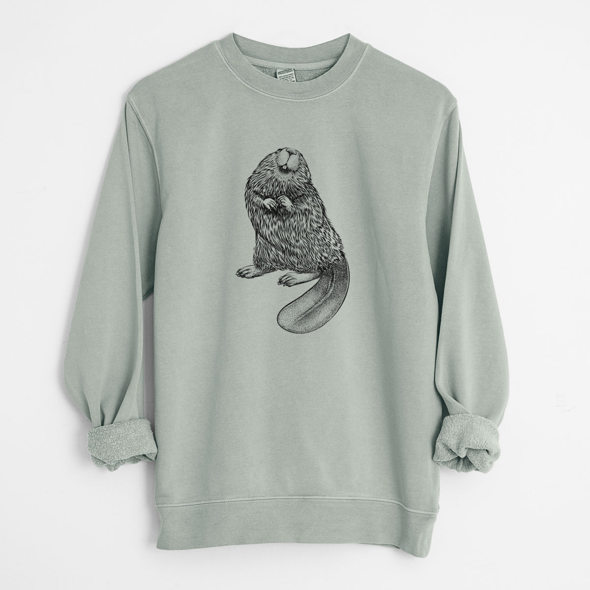 North American Beaver - Castor canadensis - Unisex Pigment Dyed Crew Sweatshirt in Sage