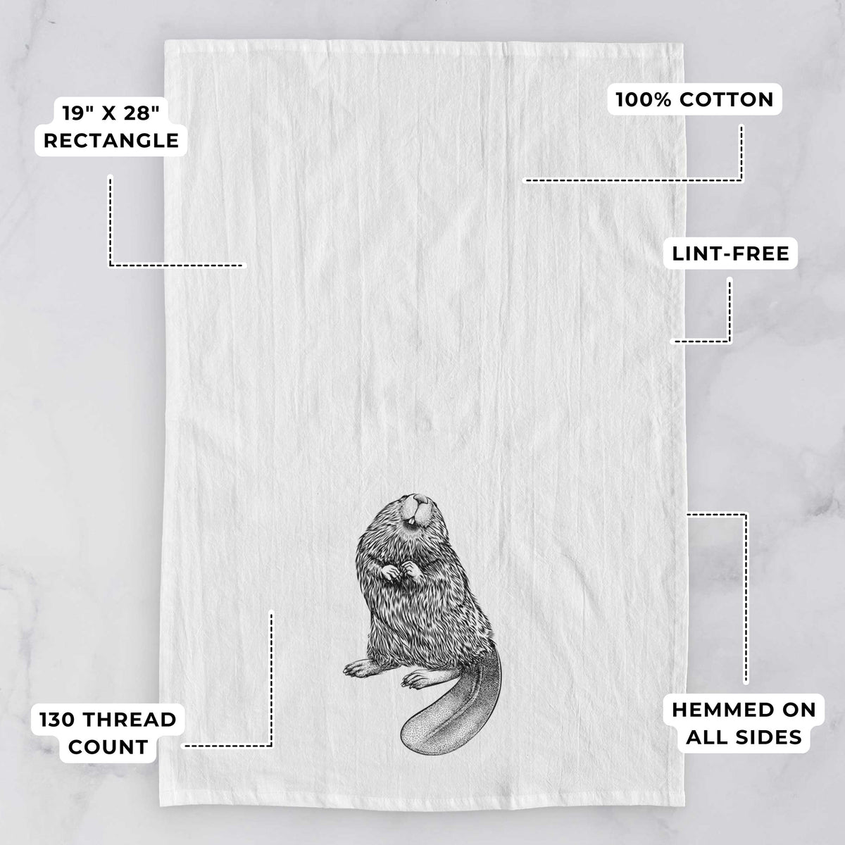 White tea towel printed with a detailed black ink illustration of an American beaver sitting upright with its flat tail, with feature labels: 19 by 28 inch rectangle, 100% cotton, lint-free, 130 thread count, hemmed on all sides.