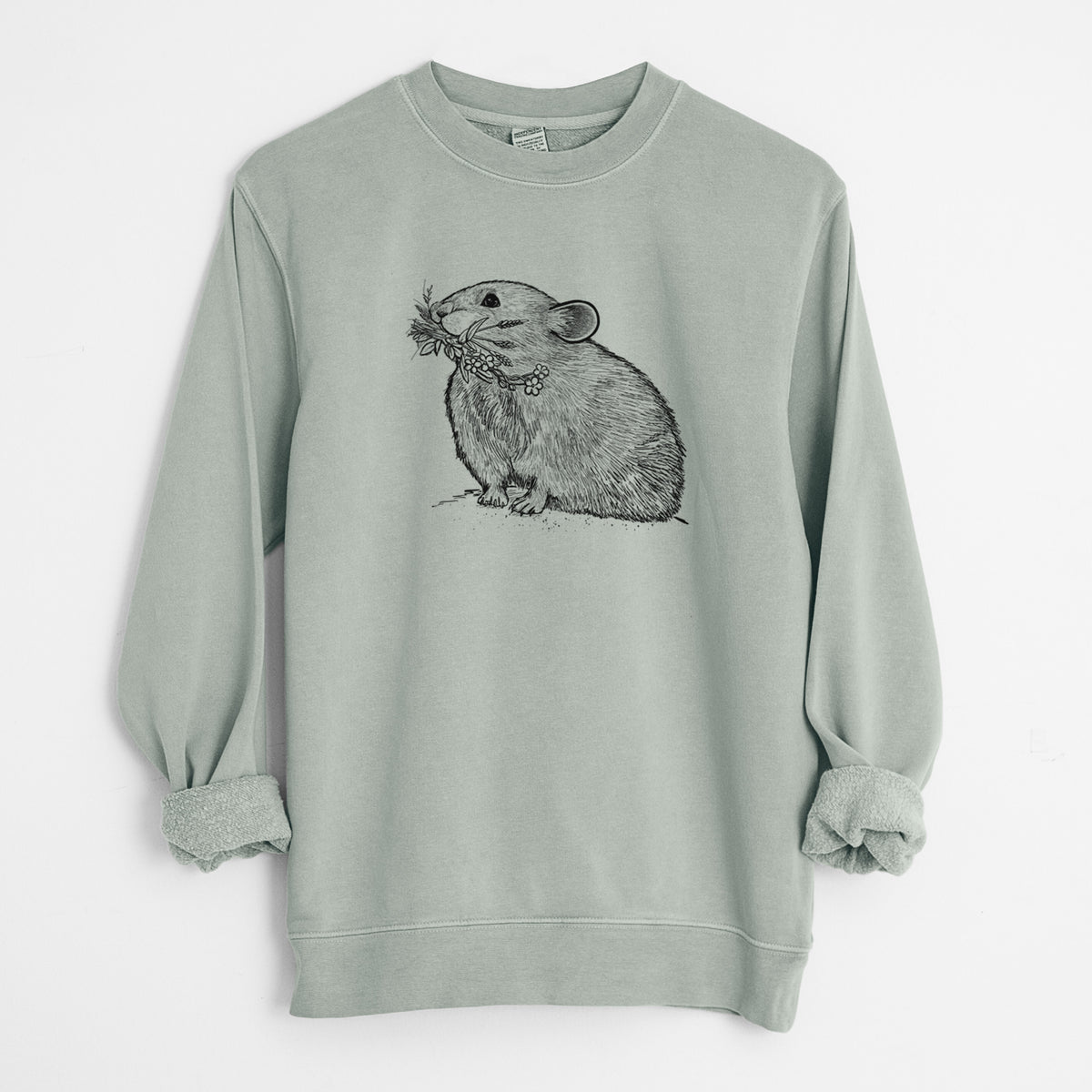 Ochotona princeps - American Pika - Unisex Pigment Dyed Crew Sweatshirt in Sage