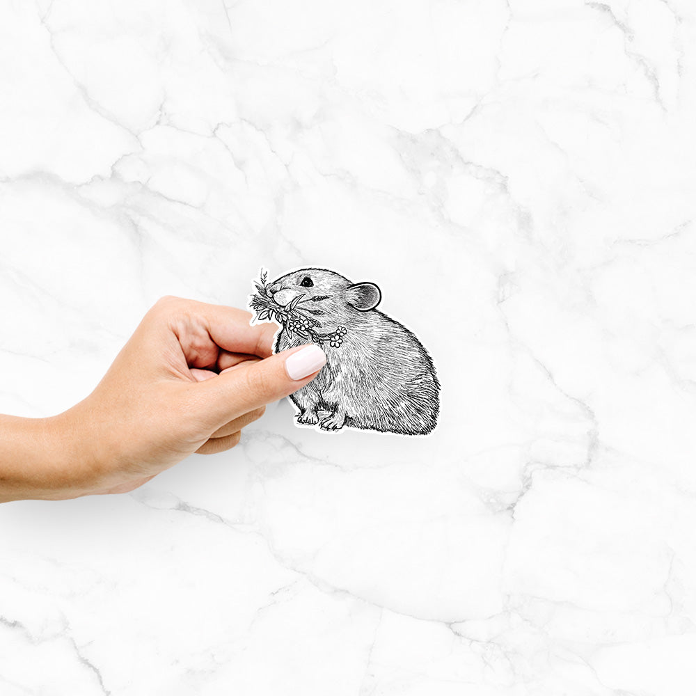 Hand holding a 4 inch vinyl decal of a detailed black ink illustration of an American pika holding flowers and grass in its mouth.