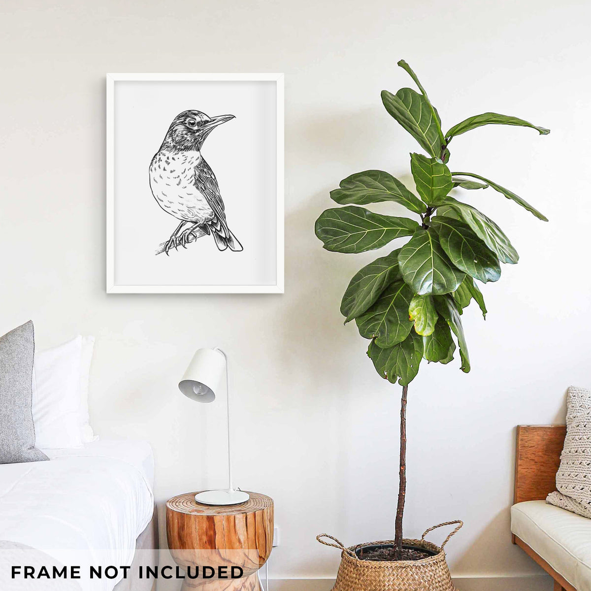 Art print of a detailed black ink sketch of an American robin perched on a branch, shown framed on a living room wall beside a potted plant. Frame not included.