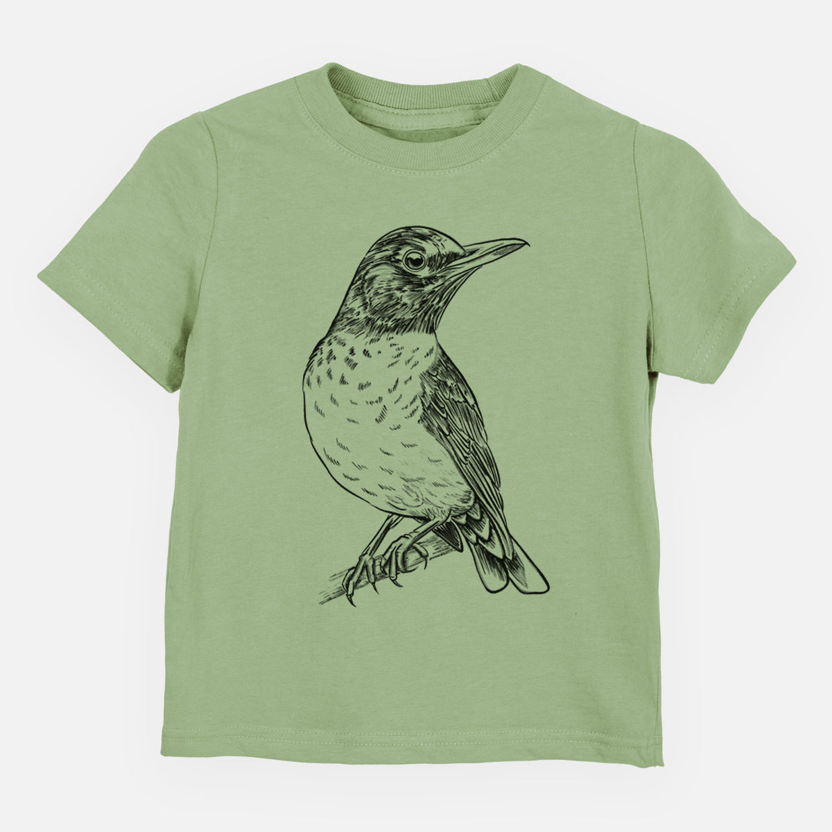 Sage green toddler t-shirt laid flat, printed with a detailed black ink sketch of an American robin perched on a branch.