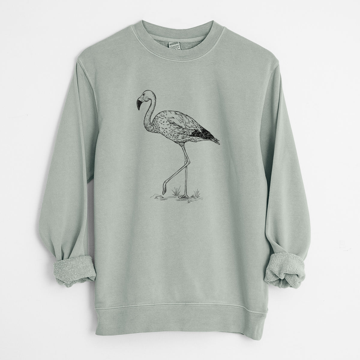 Andean Flamingo - Phoenicoparrus andinus - Unisex Pigment Dyed Crew Sweatshirt in Sage