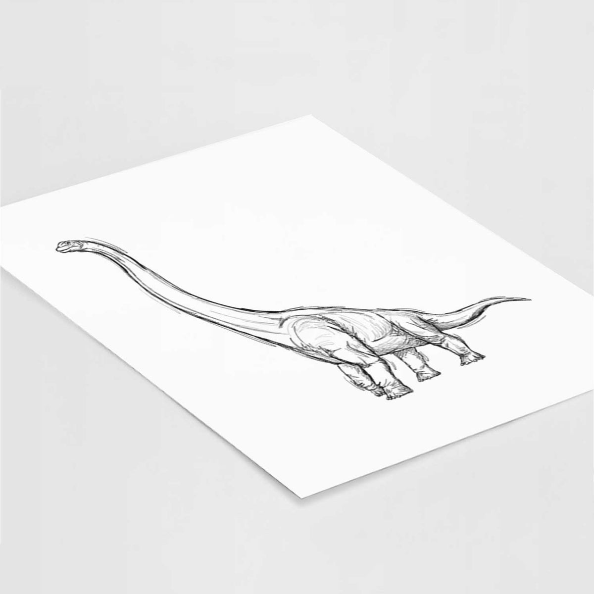 Art print of a black ink illustration of a long-necked Apatosaurus walking, lying at an angle on a white surface.