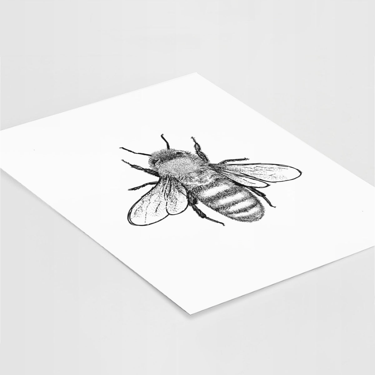 Art print of a detailed black ink illustration of a honey bee with its wings spread, seen from above, lying at an angle on a white surface.