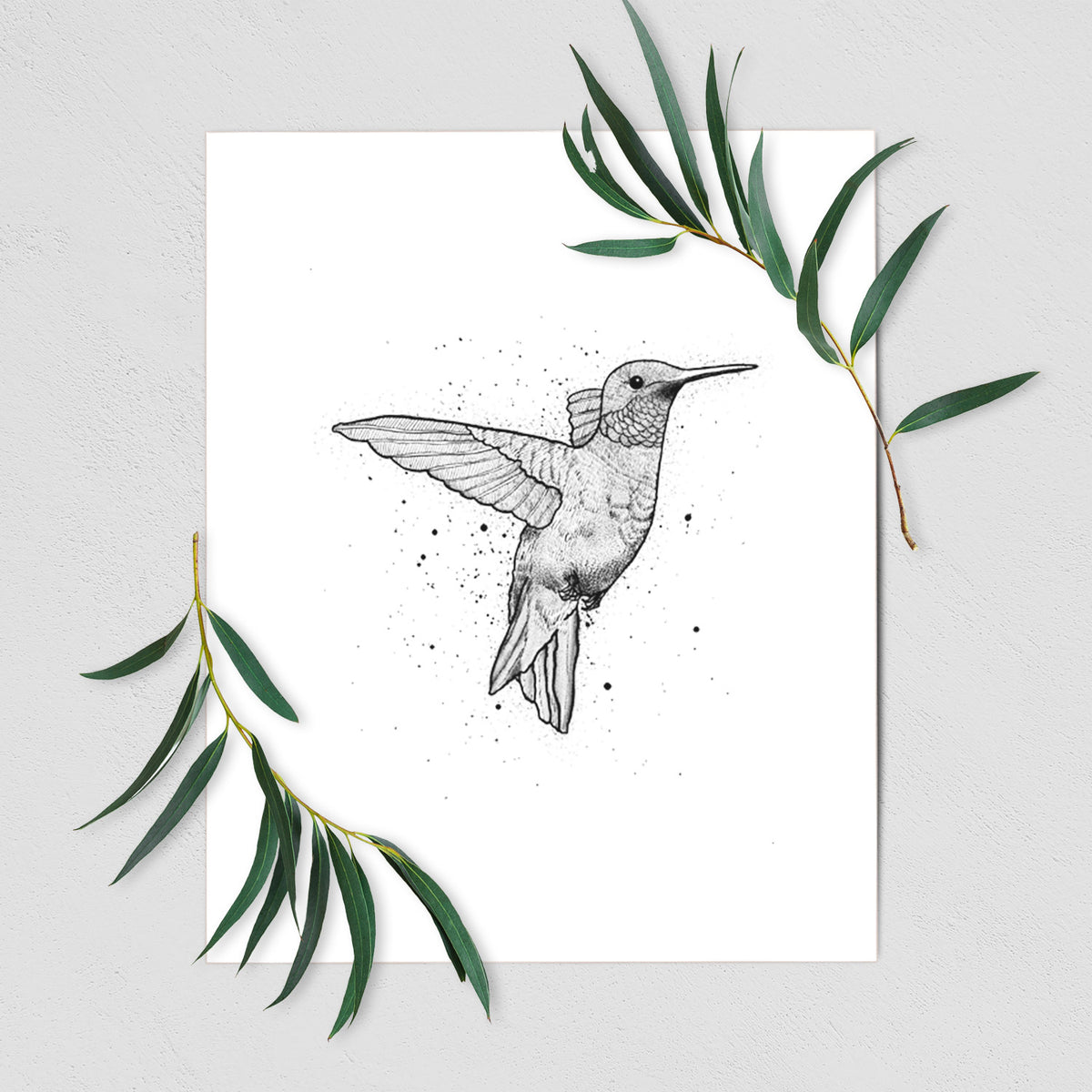 Art print of a black ink sketch of a ruby-throated hummingbird hovering with its wings raised, shown with eucalyptus leaves.