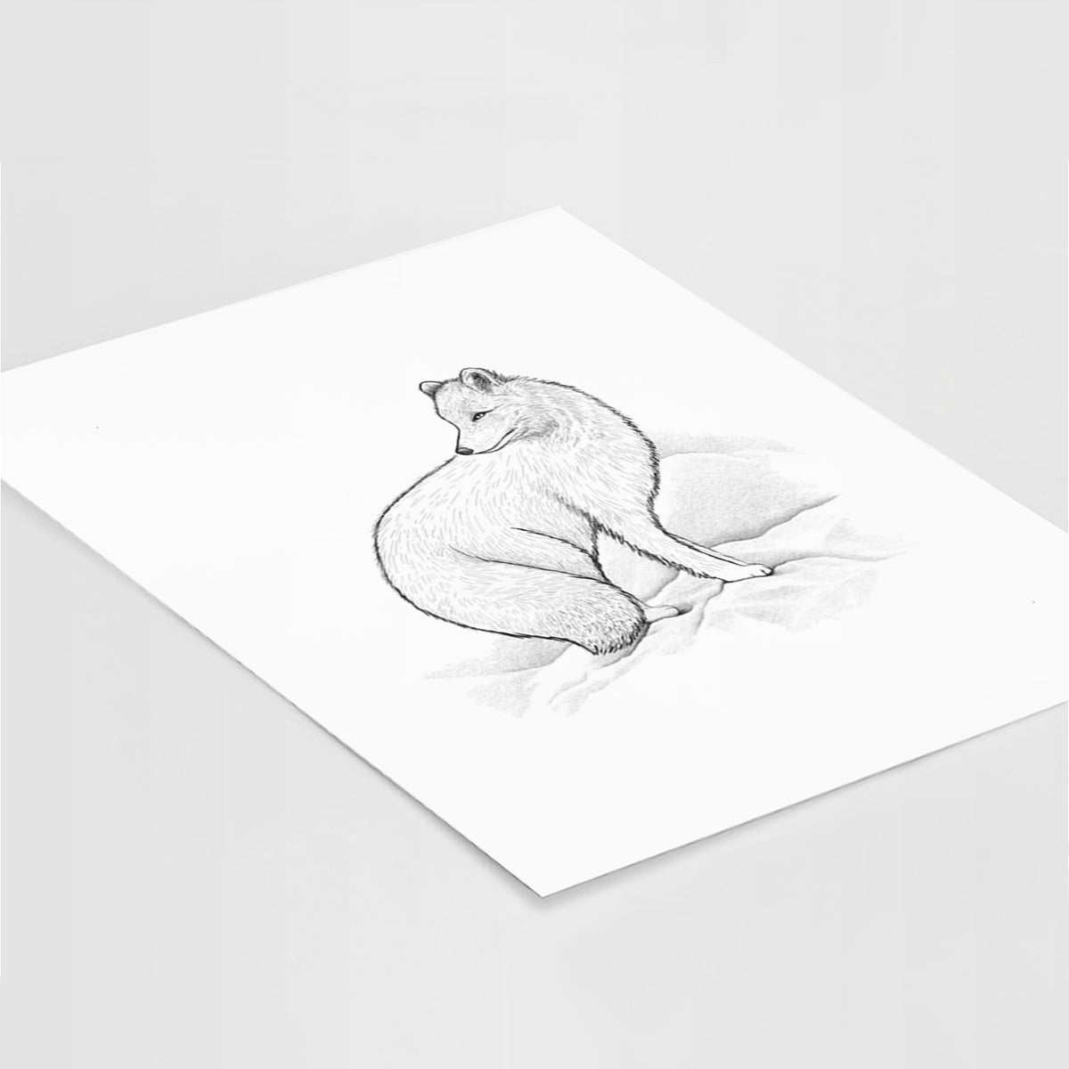 Art print of a black ink illustration of an arctic fox sitting in the snow, lying at an angle on a white surface.