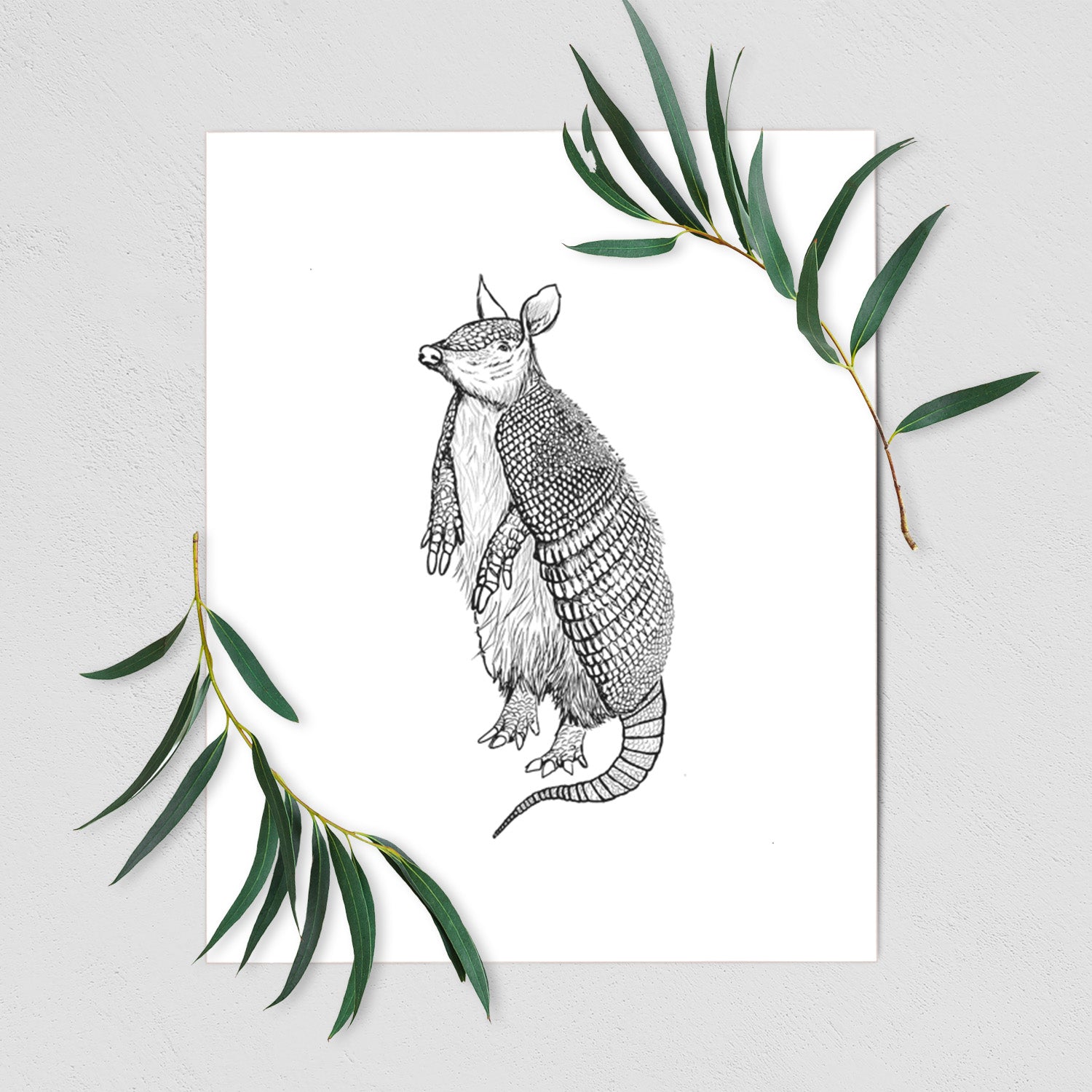 Art print of a black ink illustration of a nine-banded armadillo standing upright, shown with eucalyptus leaves.