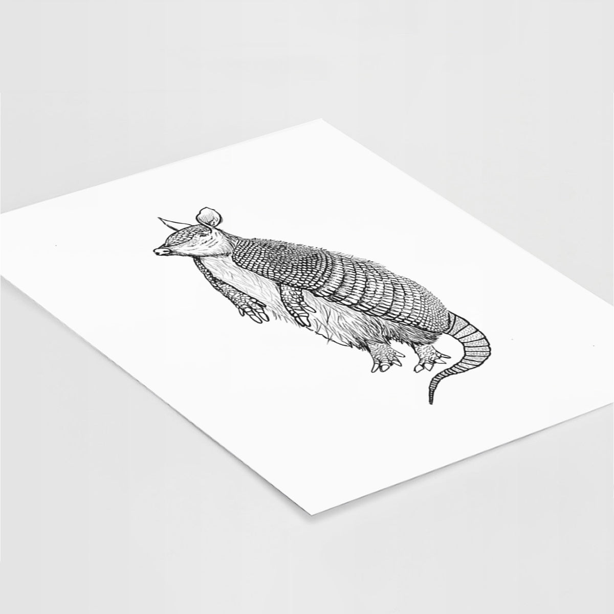 Art print of a black ink illustration of a nine-banded armadillo standing upright, lying at an angle on a white surface.