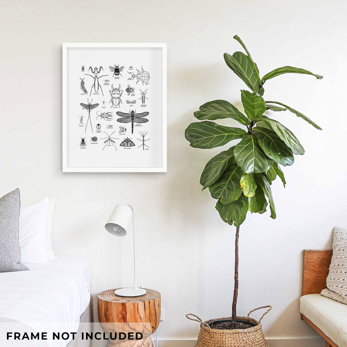Art print of a chart of black ink insect and arthropod illustrations, including dragonflies, beetles, spiders and bees, shown framed on a living room wall beside a potted plant. Frame not included.