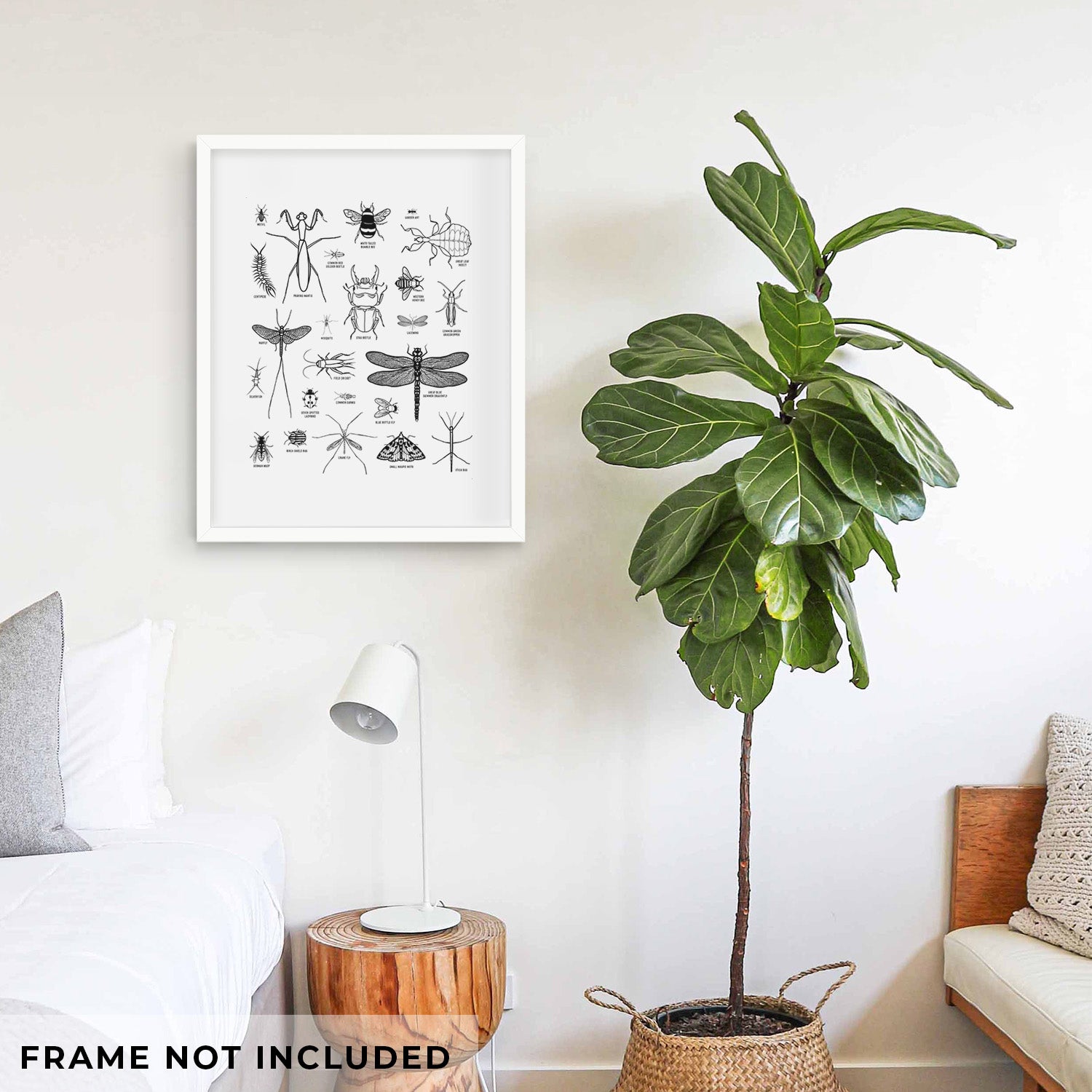 Art print of a chart of black ink insect and arthropod illustrations, including dragonflies, beetles, spiders and bees, shown with eucalyptus leaves.