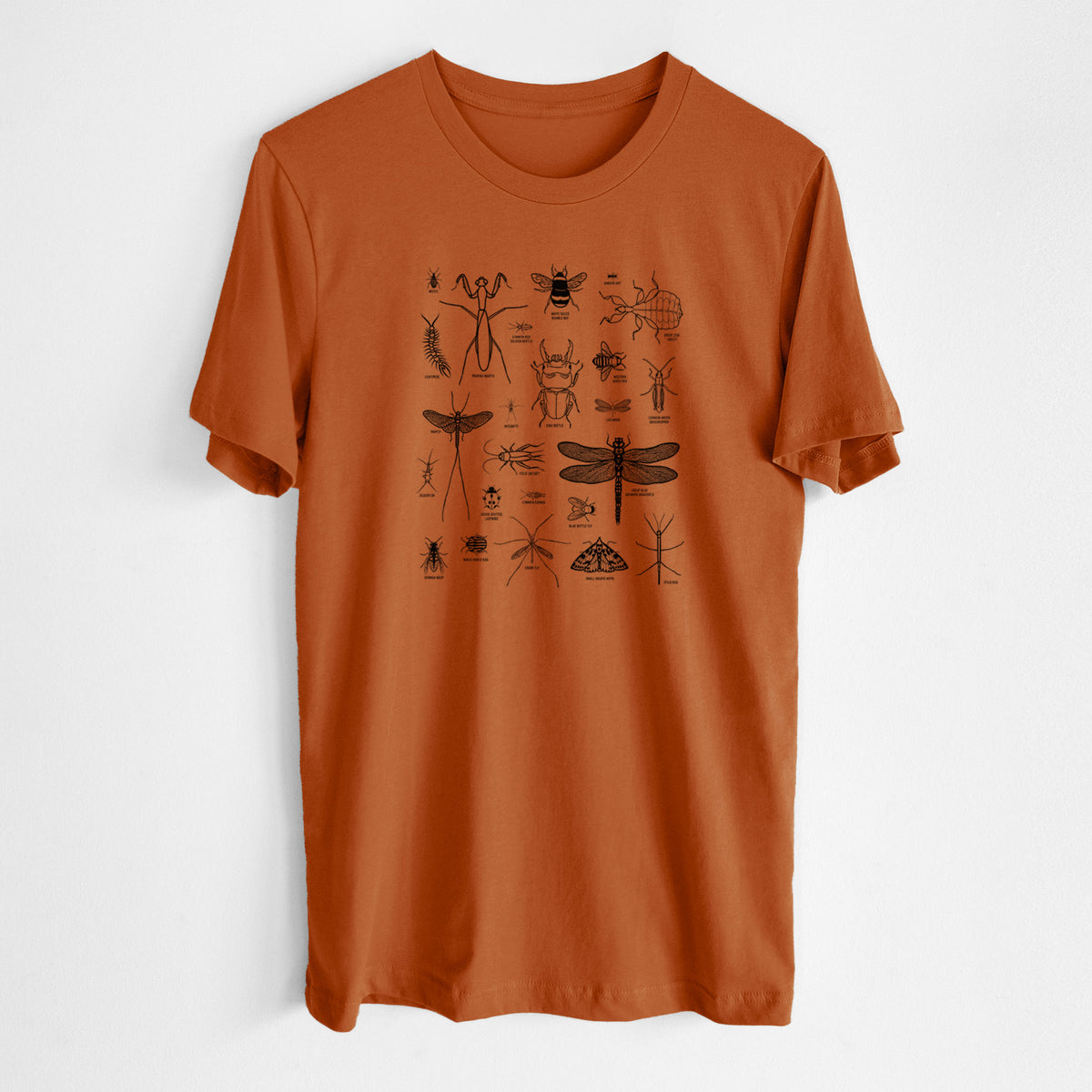 Autumn lightweight cotton t-shirt laid flat, printed with a chart of black ink insect and arthropod illustrations, including dragonflies, beetles, spiders and bees.