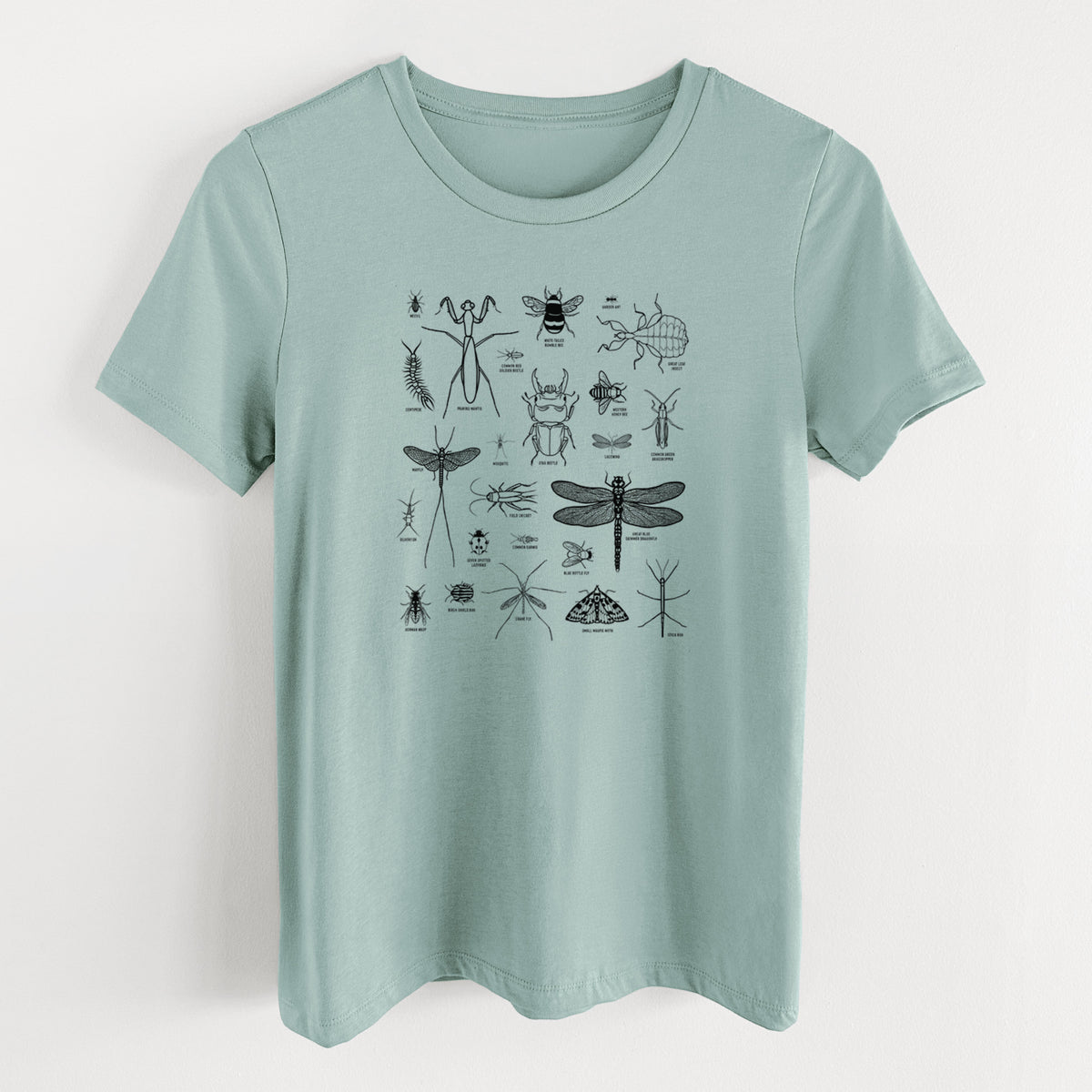 Dusty blue women's relaxed fit cotton t-shirt laid flat, printed with a chart of black ink insect and arthropod illustrations, including dragonflies, beetles, spiders and bees.