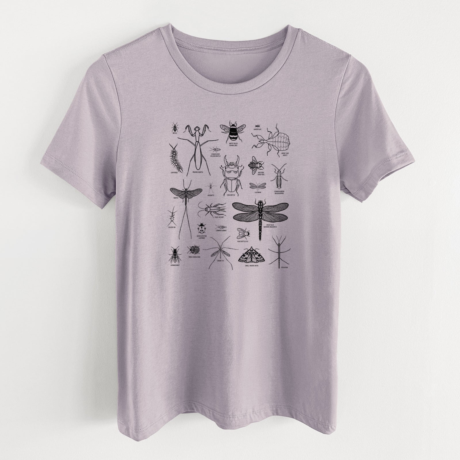 Light violet women's relaxed fit cotton t-shirt laid flat, printed with a chart of black ink insect and arthropod illustrations, including dragonflies, beetles, spiders and bees.