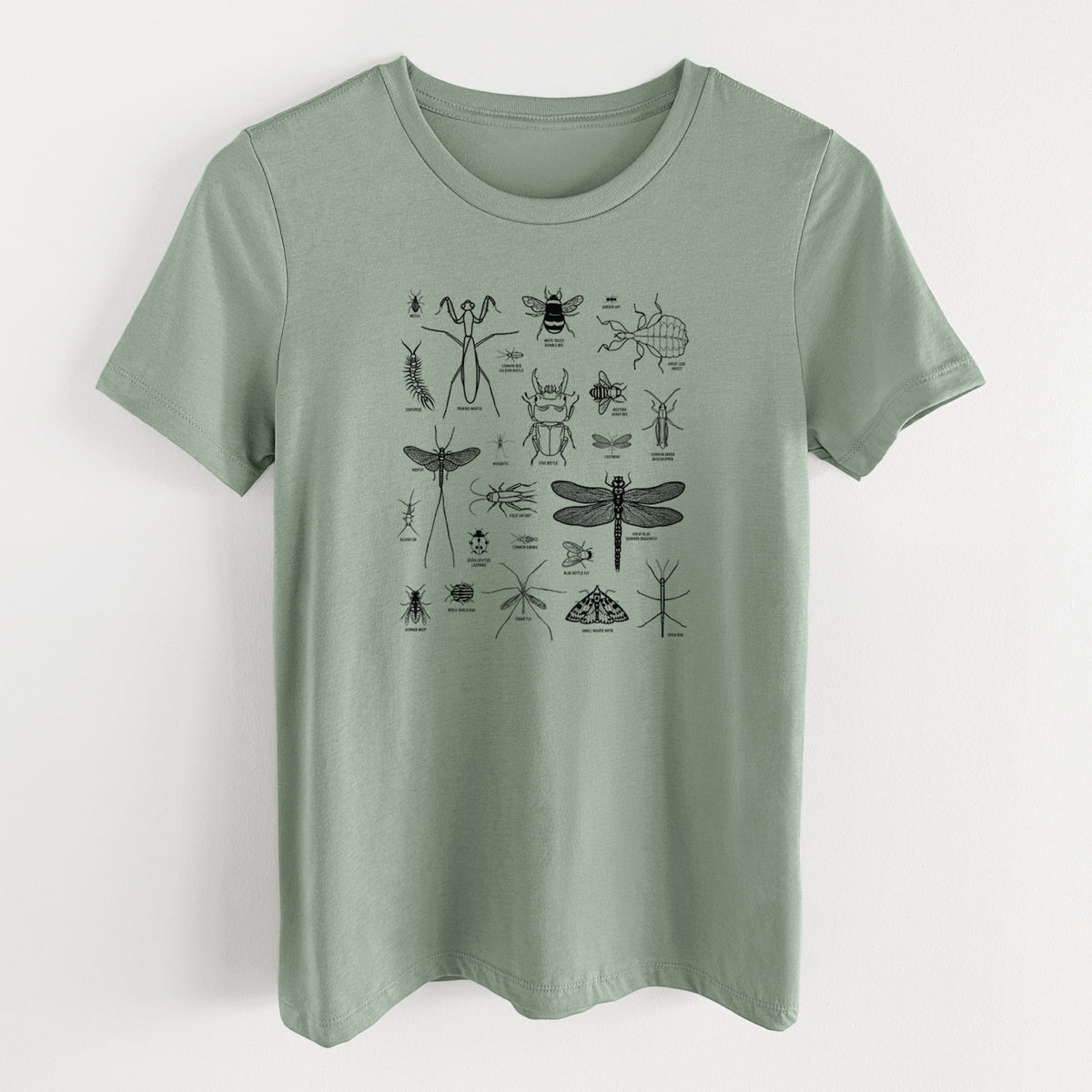 Sage green women's relaxed fit cotton t-shirt laid flat, printed with a chart of black ink insect and arthropod illustrations, including dragonflies, beetles, spiders and bees.