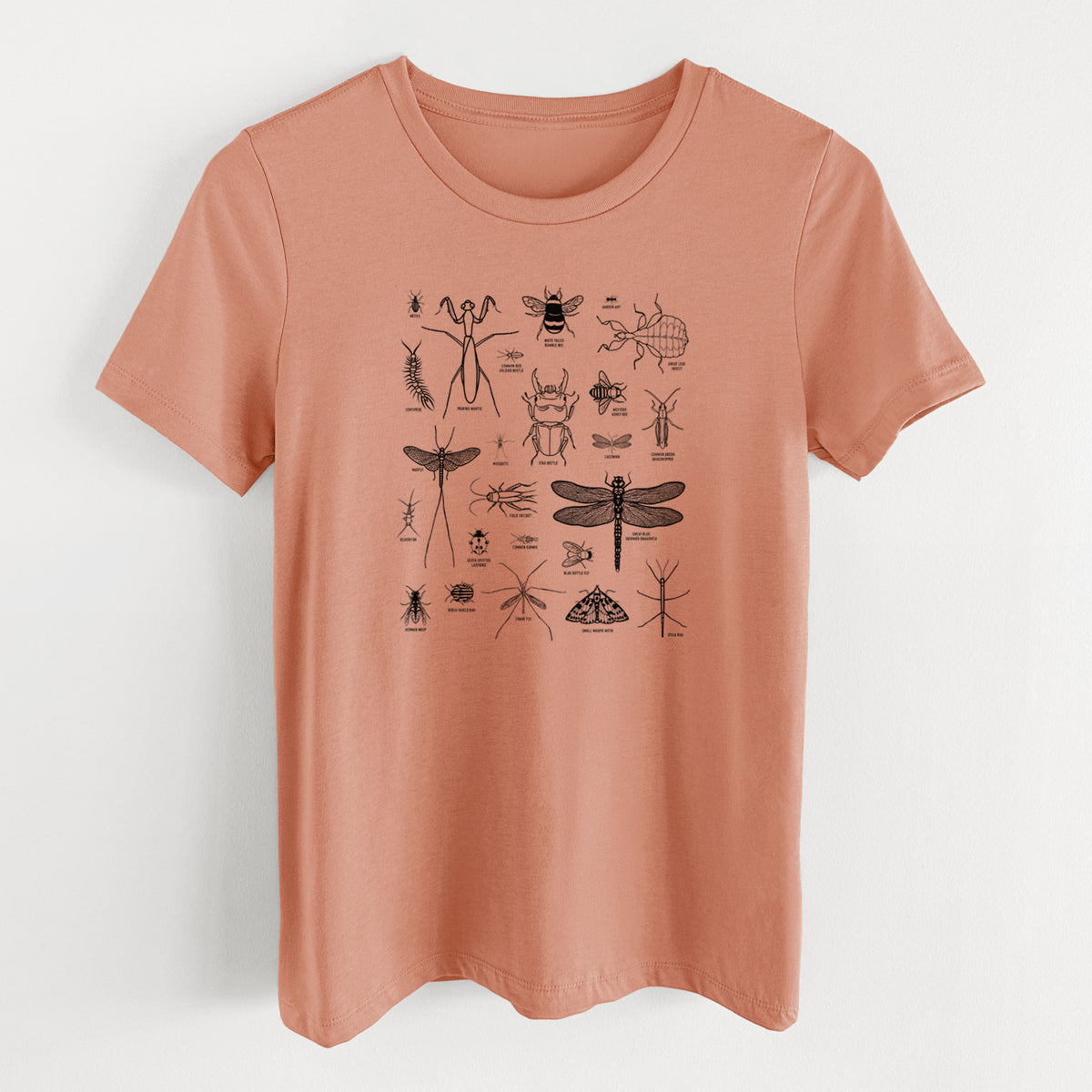 Terracotta orange women's relaxed fit cotton t-shirt laid flat, printed with a chart of black ink insect and arthropod illustrations, including dragonflies, beetles, spiders and bees.