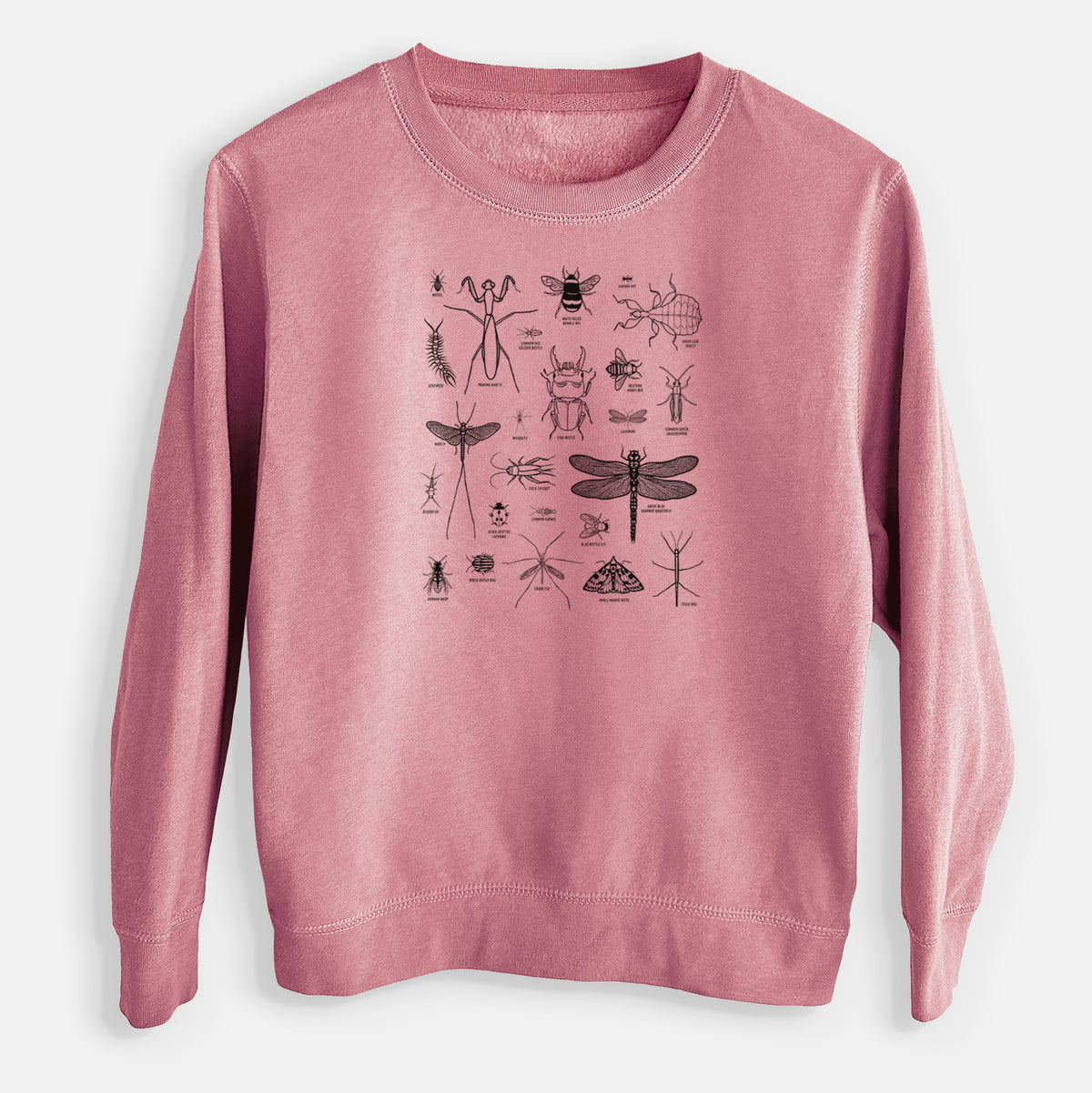 Mauve pink youth crewneck sweatshirt laid flat, printed with a chart of black ink insect and arthropod illustrations, including dragonflies, beetles, spiders and bees.