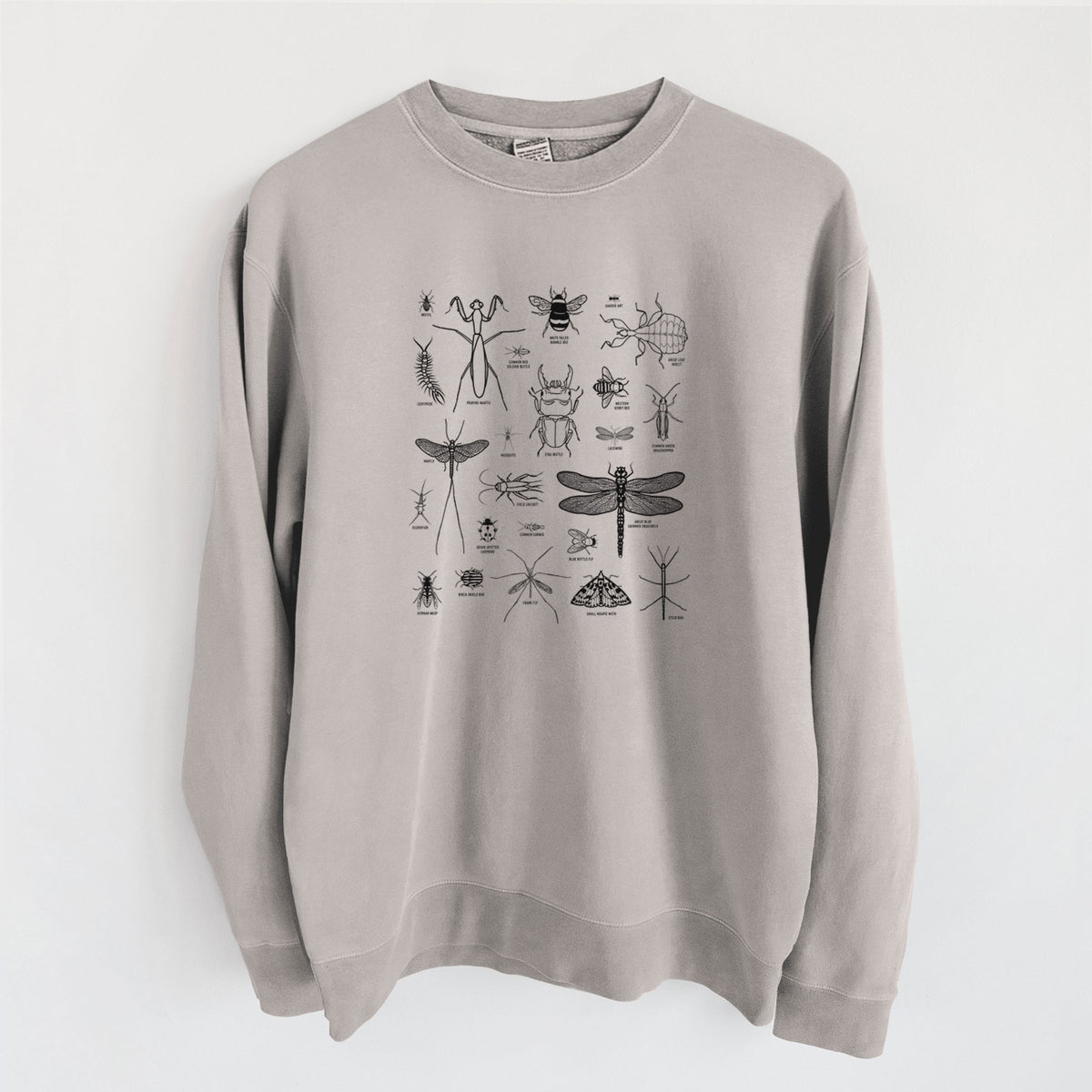 Chart of Arthropods/Insects - Unisex Pigment Dyed Crew Sweatshirt in Cement