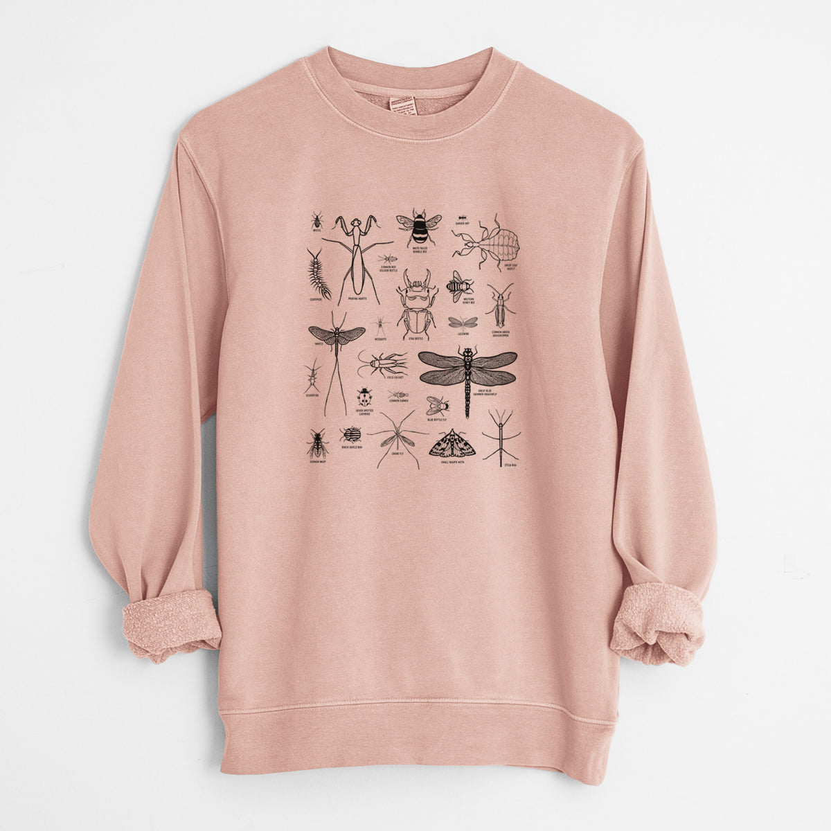 Chart of Arthropods/Insects - Unisex Pigment Dyed Crew Sweatshirt in Dusty Pink